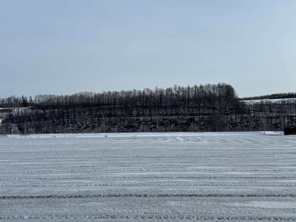 Hokkaido Government Representative Office