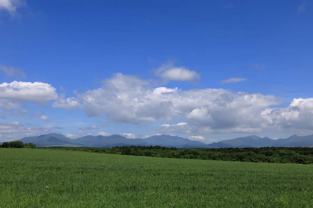 Hokkaido Government Representative Office